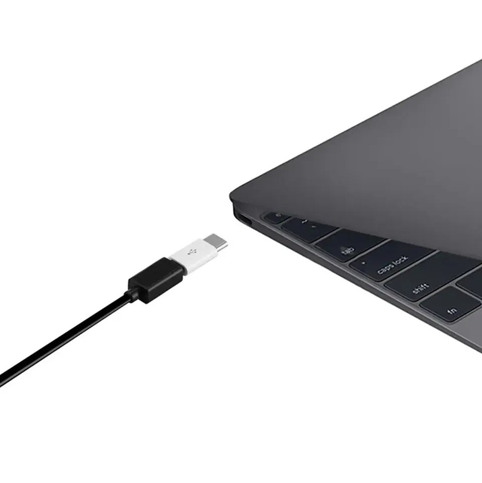 Micro-USB Female to USB-C Male Adapter (white)
