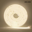 LED Strip with AC 220V, Natural White 4000K-4500K, 2835 SMD, 120 LED/M, IP67 (3m)