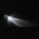 LED Light W5W/T10, 12V (convex lens, 2 pcs)